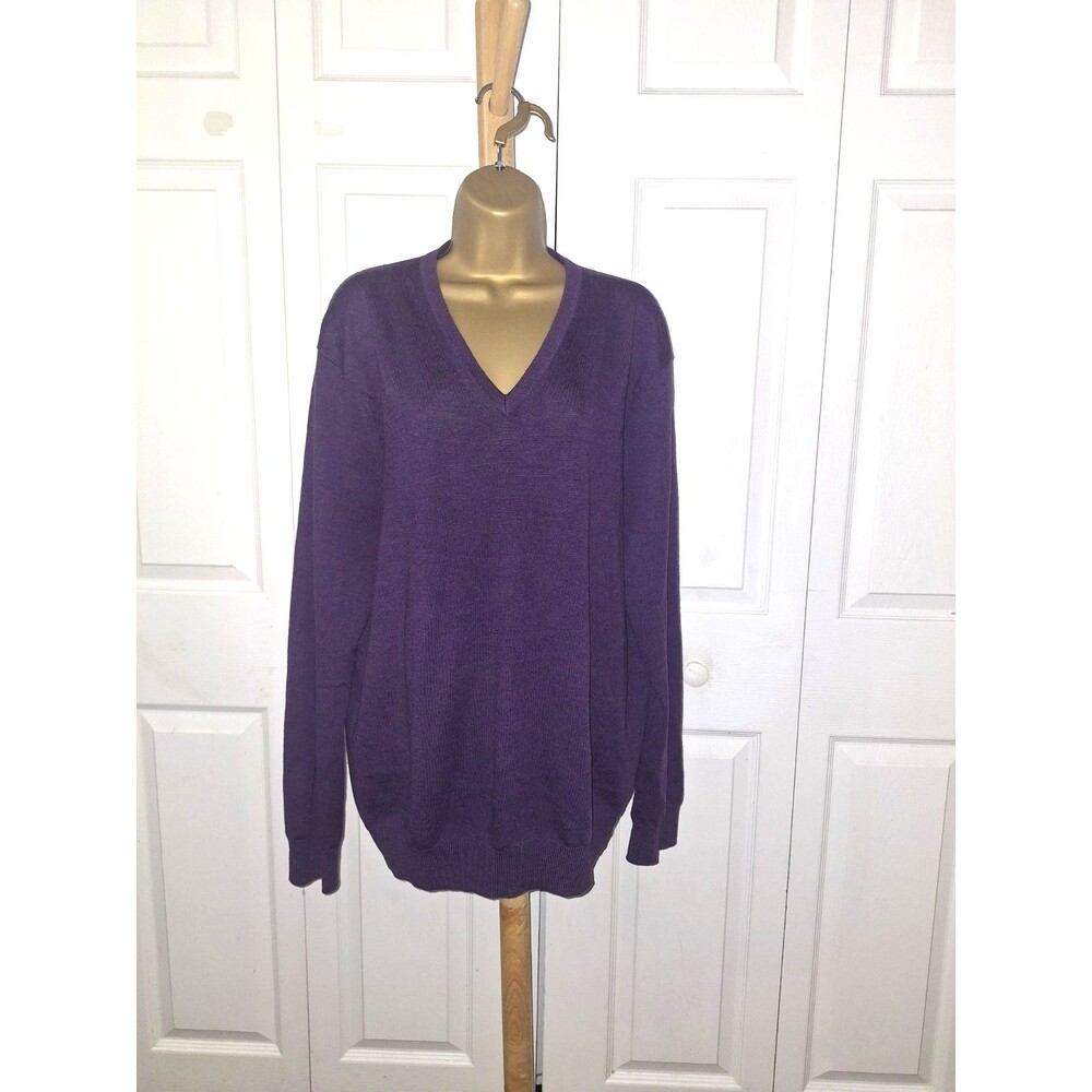 Express Merino Wool Sweater XL Purple V Neck Pullover Stretch Knit Office Career